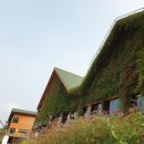 대신주말농장 정보화마을 이미지