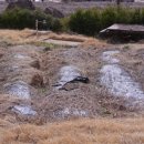 강남부동산공인중개사사무소 이미지