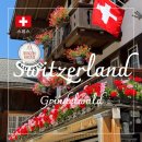 푸른카서비스 | 스위스 신혼여행 : 샬레 숙소부터 맛집까지, 렌터카 여행 후기 +팁