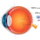삼계성모안과의원 네이버블로그