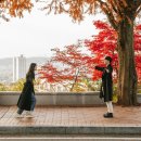 젬마스튜디오아트레이블 네이버블로그