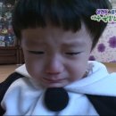 옷빼고다 | 안녕 대왕곰팡이왕바오밥돼지