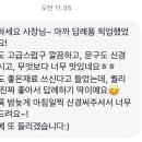 노랑204