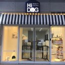 하이도그 이미지
