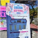 화물기지현대주유소 | 진해 군항제(경화역~제황산공원~해군기지사령부~여좌천~여좌동 평지마을공영주차장 26.4.2.목요일