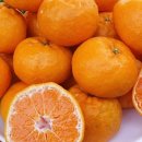 수동농장 이미지