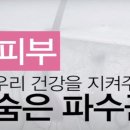 에스에이피부과의원 이미지