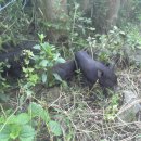 초야농장 이미지