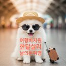 한달살러로 생활비 절약 : 한달살기 여행비 지원금액, 종류, 신청방법