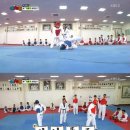 강호동태권도 이미지