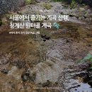 숨맑은집인덕원점 | [서울/경기/수도권] 도심 속 계곡 산행, 청계산 원터골 등산 후기