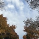 노고단-8 | 전라남도 구례군 지리산 성삼재휴게소, 노고단대피소, 노고단 방문 후기