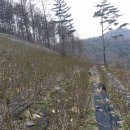 해들농장 이미지