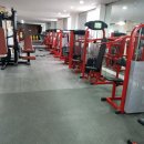 MS복싱아카데미 이미지