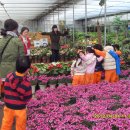 수화어린이집 이미지