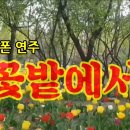 꽃밭에서