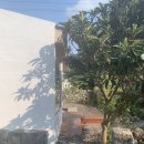 [🌴제주 한림/금능 감성숙소 추천] 금능 630하우스- 단독 별채 후기🏡