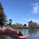 물수제비 이미지