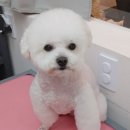 햇님미용실 이미지
