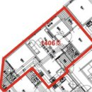 다우림 2차 이미지