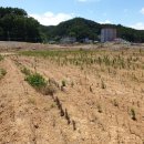 울진공인행정사 이미지