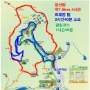 2022-07월14(목)대전 장태산 자연휴양림-메타스퀘이어길-스카이웨이 -전망대-힐링여행 이미지