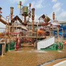 어서와 댕댕아 이미지