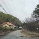 완두콩가족펜션 이미지