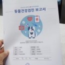 조앤박동물병원 이미지