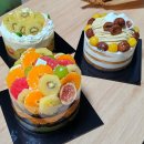 선심당 | 성심당 케이크 후기 / 선심당 롤케이크 후기 / 알밤 시루 / 과일 시루 / 요키요키 / 알밤롤 / 초코롤...