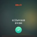 다정다감, 봄 | 임신사주가 따로 있다? 용용사주 내돈내산 솔직후기