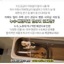 좌동 119 안전센터 이미지