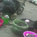 시장양곡판매소 이미지