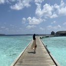 오CAR | 5박 9일 두바이 몰디브 신혼여행🩶 에메랄드파루푸시 4박5일 1일차 비치빌라/리조트 선택이유/car