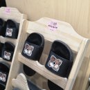 수원-0899 | 다양한퍼즐과 14M 리드가 있는 수원 클라이밍 '클라임투게더'