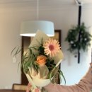 소소flower