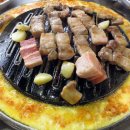 마포갈매기 이미지