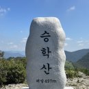 호돌유치원 | [등산리뷰, 최단코스] 낙동강과 부산 앞바다가 보이는 승학산 최단코스