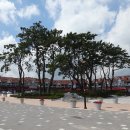 대왕암공원관리사무소 이미지