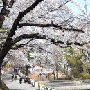 경대교 주변 이미지