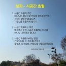 몬테소리치유센터