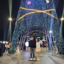 티지상사 | [11월 3주차] 연말 분위기 물씬, 영화제 후기 포함