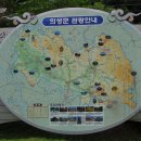 알선농원 티스토리