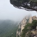 강원도 양양군 외설악산 비선대 울산 바위 최선희 사진입니다 5월25일 즐거운 산행이었습니다 이미지