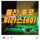 폴라베어2펜션 | 후포펜션 울진 오션뷰 휘라스테이 102호 내돈내산