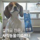21세기종합동물병원 | 슬개골 검진 잘하는 곳 찾는다면, 동래사직동물병원 사직동물의료센터 후기.