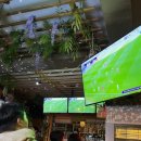 예주라이온스 이미지