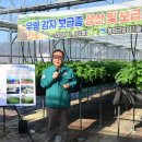 골든에그 이미지