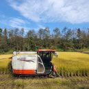 기계한우농장 이미지