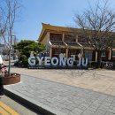 경주 여행기 황리단길 루지 국립경주박물관 월정교 교촌마을 최부자댁 동궁과월지 비단벌레차 첨성대